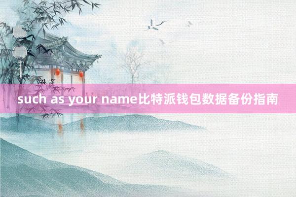 such as your name比特派钱包数据备份指南