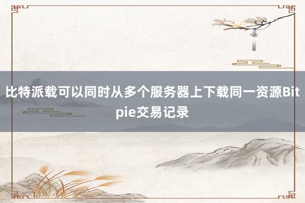 比特派载可以同时从多个服务器上下载同一资源Bitpie交易记录