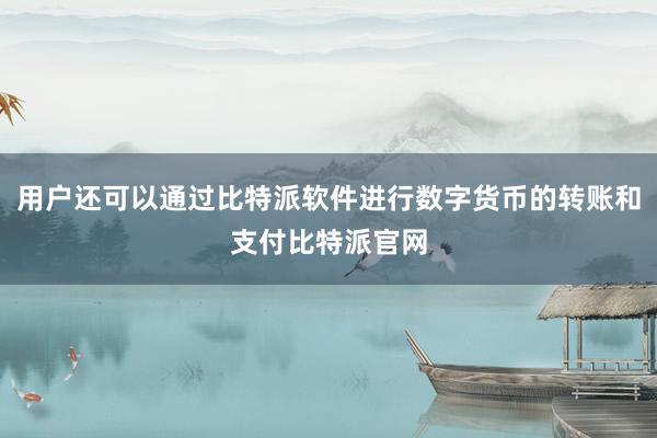 用户还可以通过比特派软件进行数字货币的转账和支付比特派官网