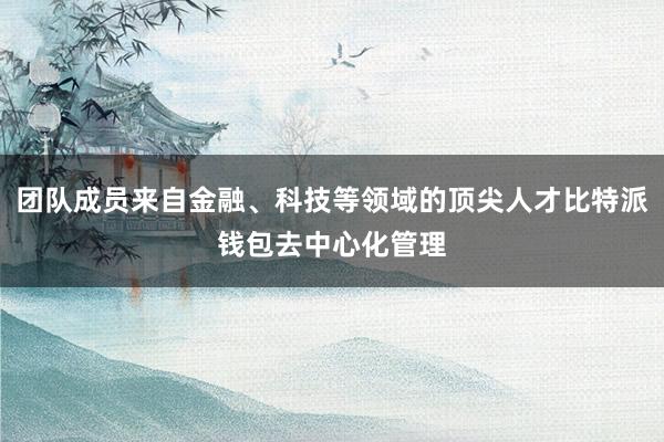 团队成员来自金融、科技等领域的顶尖人才比特派钱包去中心化管理