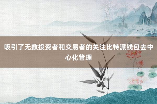 吸引了无数投资者和交易者的关注比特派钱包去中心化管理