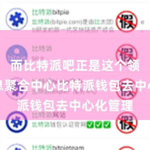 而比特派吧正是这个领域的信息聚合中心比特派钱包去中心化管理